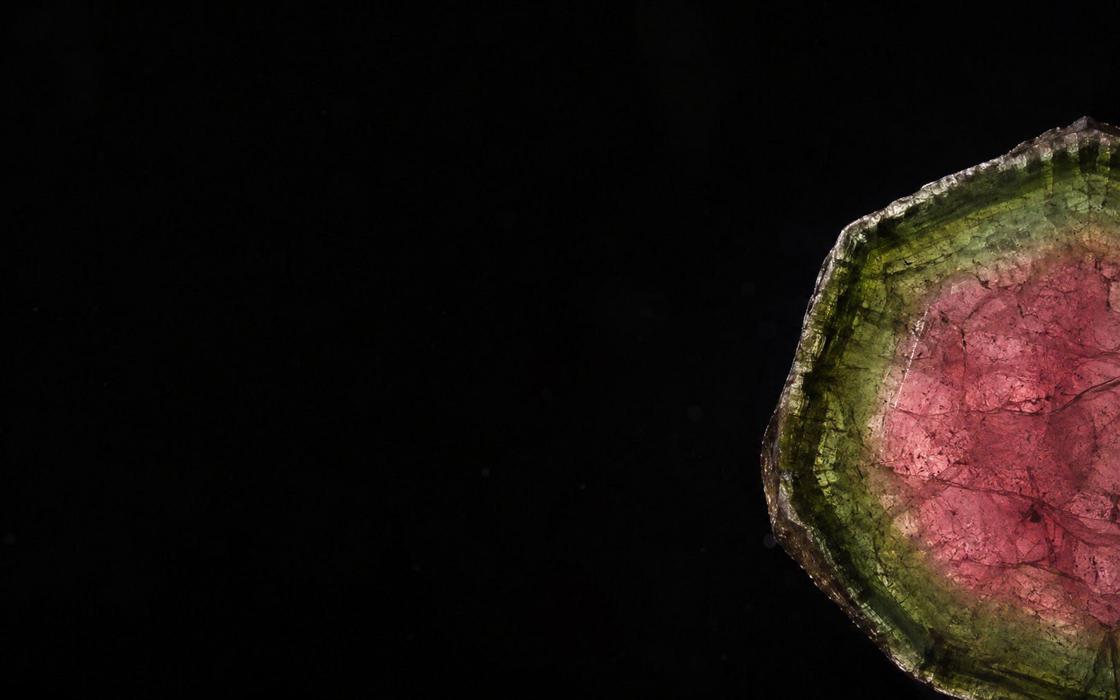Watermelon Tourmaline stone image for the L&H Atelier Stone Library jewelry guide